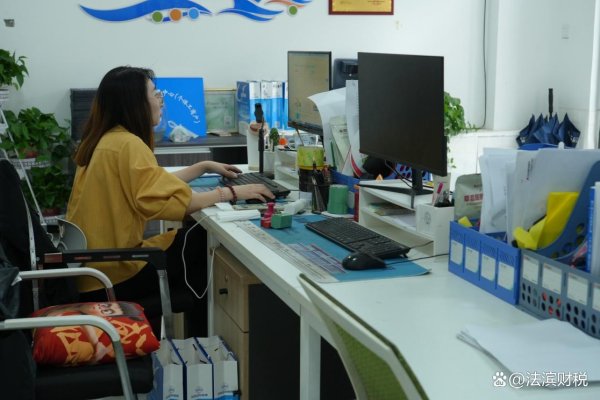 开云体育选拔代理记账机构不错纯粹多半本领和元气心灵-云开全站登录入口 - www.kaiyun.com