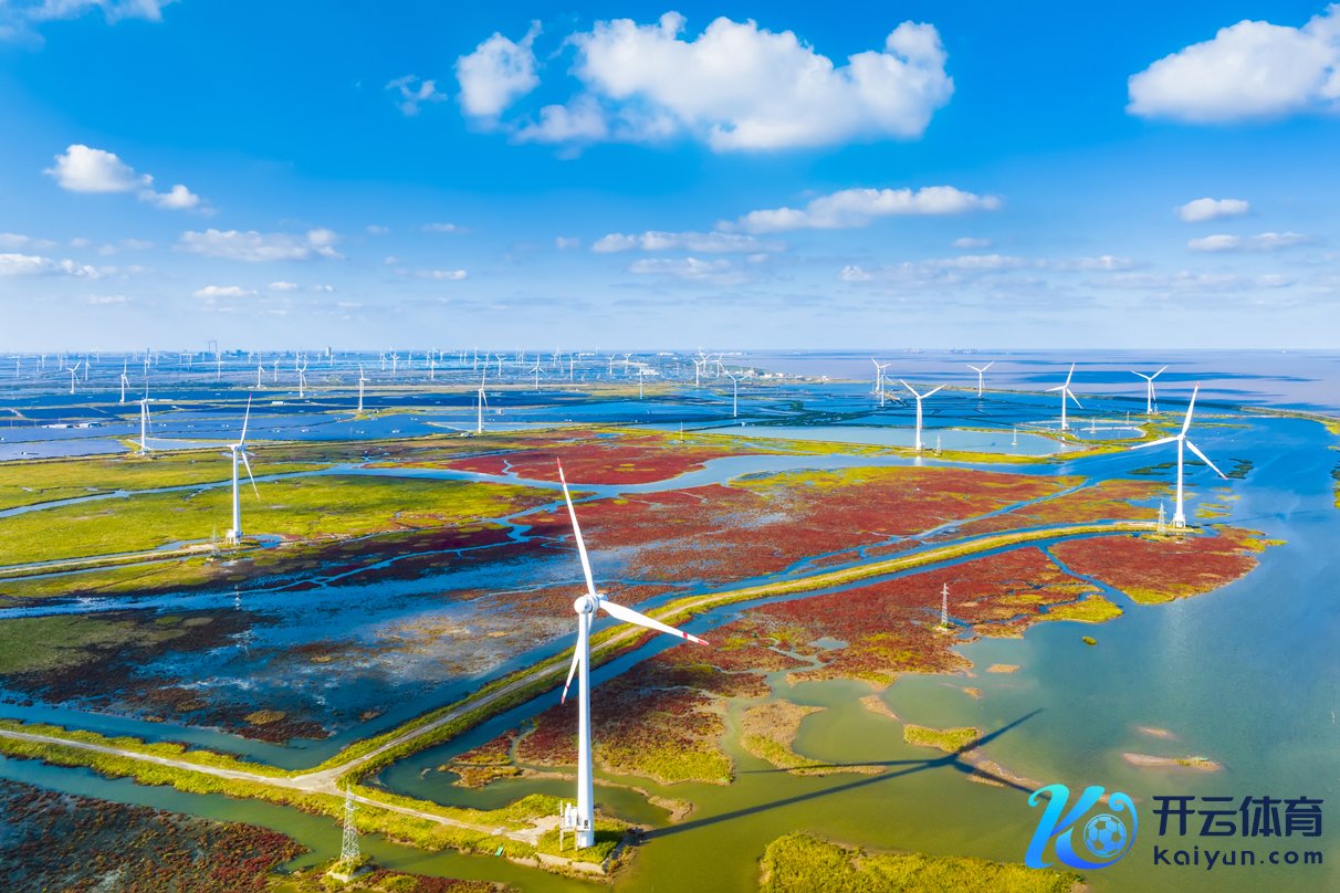 湿地兴盛无尽 孙华金摄