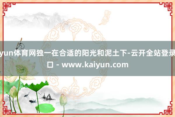 开yun体育网独一在合适的阳光和泥土下-云开全站登录入口 - www.kaiyun.com