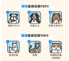 开始：《2024保障职业年度趋势不雅察》