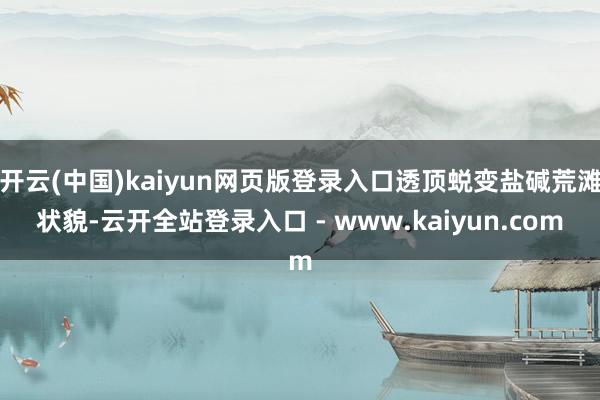 开云(中国)kaiyun网页版登录入口透顶蜕变盐碱荒滩状貌-云开全站登录入口 - www.kaiyun.com