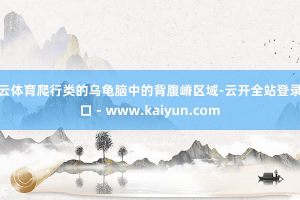 开云体育爬行类的乌龟脑中的背腹嵴区域-云开全站登录入口 - www.kaiyun.com