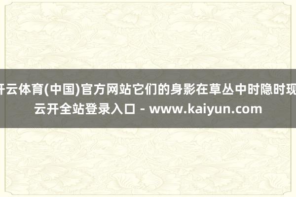 开云体育(中国)官方网站它们的身影在草丛中时隐时现-云开全站登录入口 - www.kaiyun.com