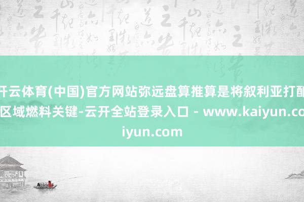 开云体育(中国)官方网站弥远盘算推算是将叙利亚打酿成区域燃料关键-云开全站登录入口 - www.kaiyun.com