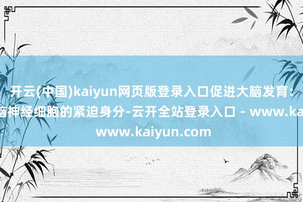 开云(中国)kaiyun网页版登录入口促进大脑发育：DHA是大脑神经细胞的紧迫身分-云开全站登录入口 - www.kaiyun.com