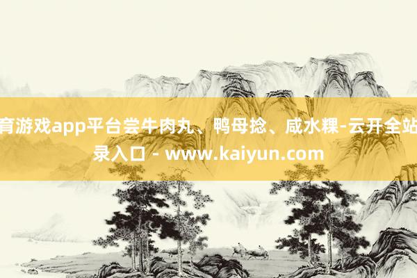 体育游戏app平台尝牛肉丸、鸭母捻、咸水粿-云开全站登录入口 - www.kaiyun.com