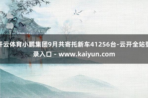 开云体育小鹏集团9月共寄托新车41256台-云开全站登录入口 - www.kaiyun.com
