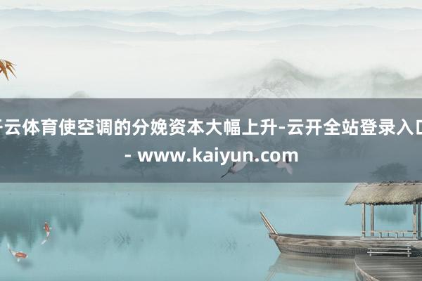 开云体育使空调的分娩资本大幅上升-云开全站登录入口 - www.kaiyun.com
